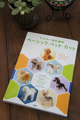 20120415-犬たち 121.jpg